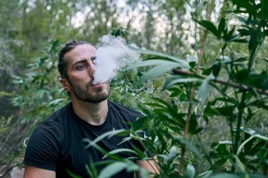 xoilac tv unveils how the electronic cigarette company is shaping next generation vaping trends